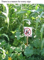 1763647335912.png 1763647335912.png