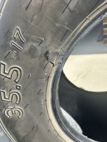 IMG_2822.jpeg IMG_2822.jpeg