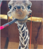 Screenshot 2025-08-09 093823.png