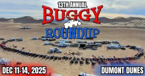 buggy roundup.jpg