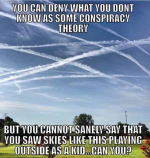 1765373927502.png 1765373927502.png