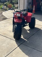 IMG_8538.jpeg IMG_8538.jpeg