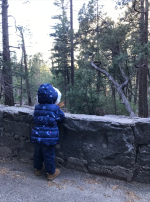 1765816725994.png 1765816725994.png