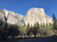 1765816950219.png 1765816950219.png