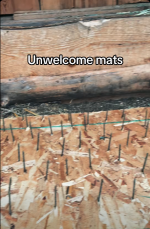 Screenshot 2025-12-21 at 06-01-28 Facebook.png