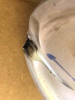IMG_2932.jpeg IMG_2932.jpeg