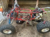 IMG_0816.jpeg IMG_0816.jpeg