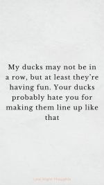 1767796357202.png 1767796357202.png