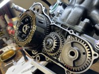 IMG_2686.jpeg IMG_2686.jpeg