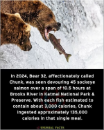 1769520649635.png 1769520649635.png