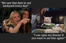 1769520828469.png 1769520828469.png