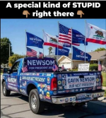 1769605912281.png 1769605912281.png