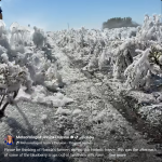 Screenshot 2026-02-02 at 07-43-27 Facebook.png Screenshot 2026-02-02 at 07-43-27 Facebook.png