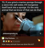 Screenshot 2026-02-08 at 04-42-29 Facebook.png