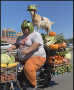 1771782009690.png 1771782009690.png