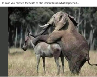 Screenshot 2026-02-25 at 17-09-18 Facebook.png