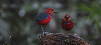 Screenshot 2026-03-11 at 07-44-14 Facebook.png