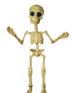 Screenshot 2026-03-15 at 18-00-53 Buy Skeleton Marionette AM001 Gallery Czech Puppets & Marion...png