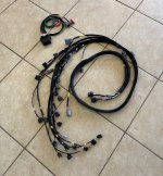 1774480230882.jpeg 1774480230882.jpeg