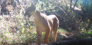 Screenshot 2026-04-09 at 18-05-00 (1) Facebook.png