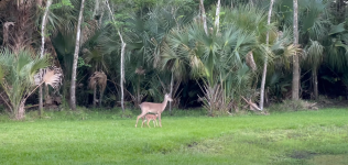 Screenshot 2026-04-11 at 12-21-11 Facebook.png