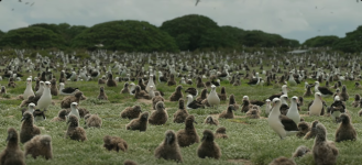 Screenshot 2026-04-13 at 09-11-12 (1) Facebook.png