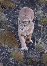 Screenshot 2026-04-13 at 10-26-41 Facebook.png