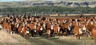 Screenshot 2026-04-15 at 11-50-35 Facebook.png