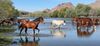 Screenshot 2026-04-19 at 13-33-44 Facebook.png