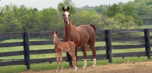 Screenshot 2026-04-21 at 06-56-56 Facebook.png