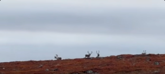 Screenshot 2026-04-24 at 08-39-18 Facebook.png