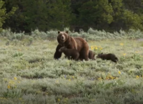 Screenshot 2026-04-27 at 07-44-07 Facebook.png