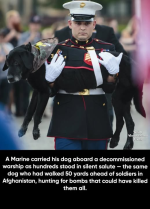 1777315031563.png