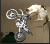 1777589050614.png