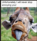 1777666370221.png