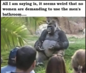 1777666948642.png