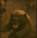 1777810858870.png