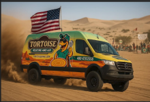 1777823806966.png