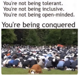 1777835677041.png