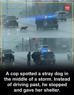1777902584517.png