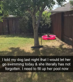 1777908084839.png
