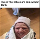 1777927205191.png