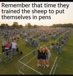 1777986274004.png