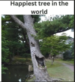 1778020938254.png