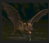1778021275531.png