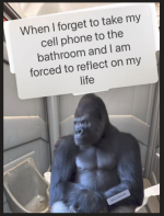 1778109906556.png