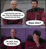 1778147993395.png
