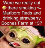 1778185646901.png