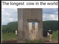 1778196993225.png
