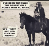 1778258062643.png